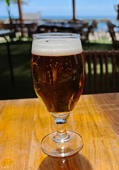 BEER MUG